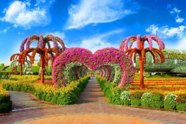 dubai miracle garden and global village tour