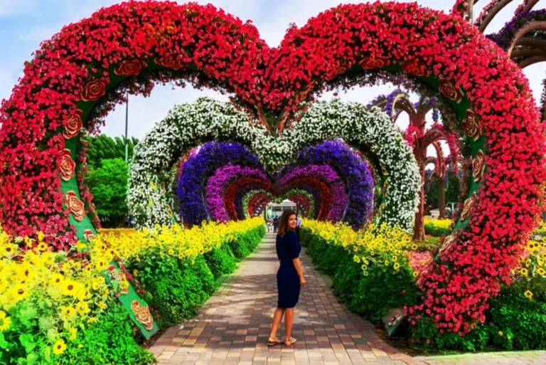 dubai miracle garden tour